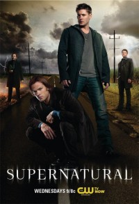 Siêu Nhiên (Phần 8) - Supernatural (Season 8) (2010)