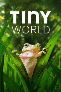 Thế Giới Siêu Nhỏ (Phần 2) - Tiny World (Season 2) (2021)
