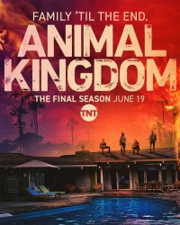 Vương quốc động vật (Phần 6) - Animal Kingdom (Season 6) (2022)