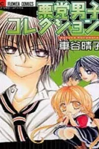 Akutou Danshi Collection
