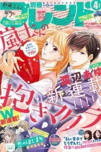 Arashi-kun no Dakimakura