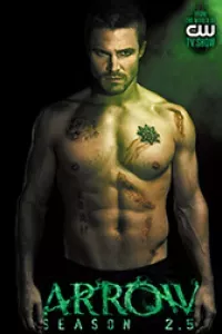 ARROW: SEASON 2.5