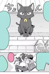 Bé Mèo Yandere Của Tôi Yêu Tôi Rất Nhiều