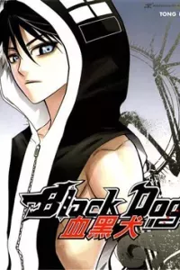 Black Dog