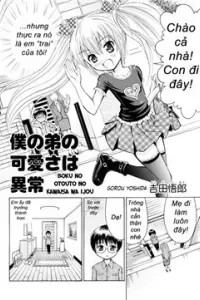 Boku no Otouto no Kawaisa wa Ijou