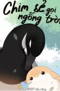 Chim Sẻ Gọi Ngỗng Trời