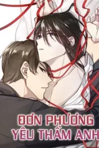 Đơn Phương Yêu Thầm Anh