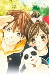 Hachimitsu ni Hatsukoi
