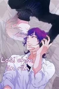 Hebikui Tori