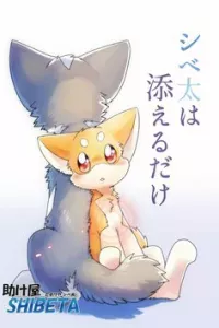Helper SHIBETA