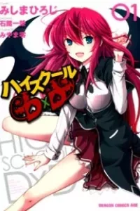 High School DXD