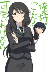 Infinite Stratos Doujinshi- My Older Sister can be this overprotective