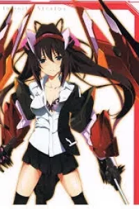 Infinite Stratos New Version
