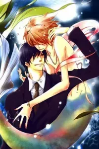 Junketsu Ningyo Series