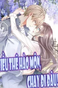 Kiều Thê Hào Môn Chạy Đi Đâu