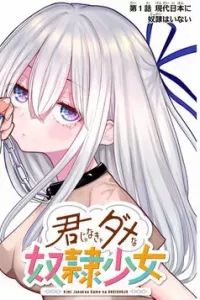 Kimi janakya Dame na Dorei Shoujo