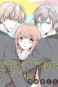 Kimi wa Kowareta Ouji-kun