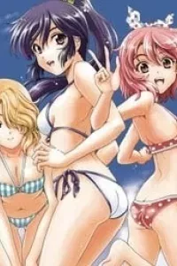 Kimiiro Focus