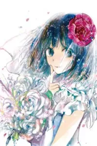 Kuzu no Honkai Décor