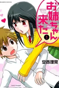Onee-chan ga Kita