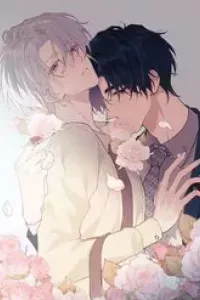 Pheromone Nồng Nàn