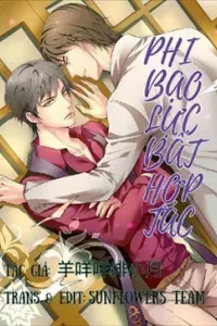 Phi Bạo Lực Bất Hợp Tác