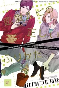 Renai-rubi no Tadashii Furikata