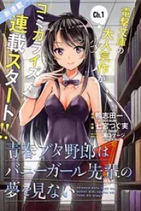 Seishun Buta Yarou wa Bunny Girl Senpai no Yume o Minai