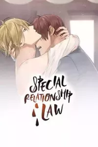 Special Relationship Law
