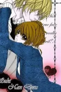Suki nan Desu