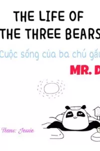 The life of the three bears