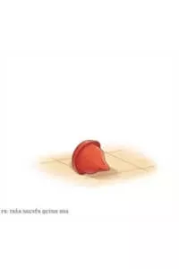 Tình Yêu! Bắt Đầu Từ Ngày Hôm Nay.