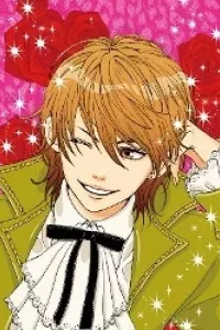 Tokimeki gakuen oujigumi
