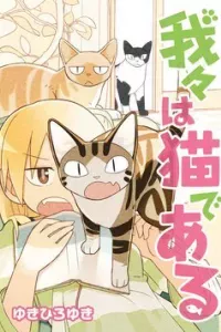 We are cat