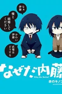 Why Naitou
