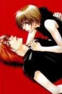Wild Kiss