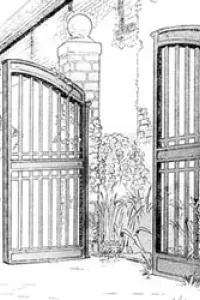Window