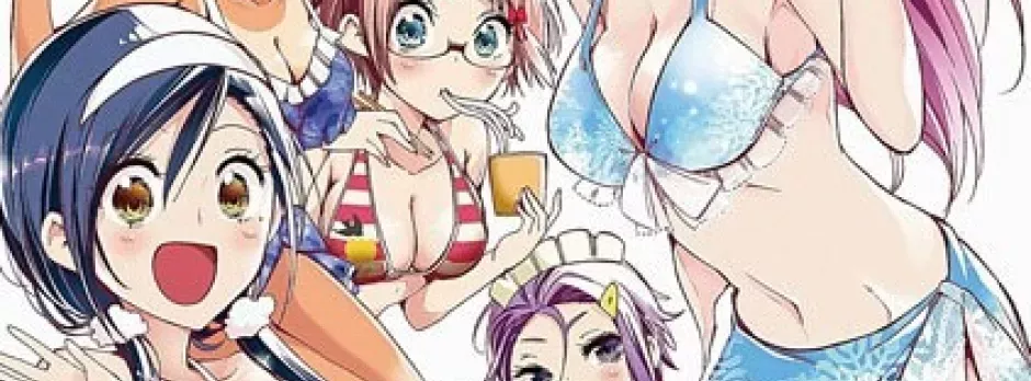 Bokutachi wa Benkyou ga Dekinai OVA