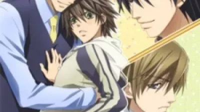 Junjou Romantica Special