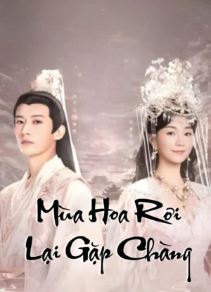 Mùa Hoa Rơi Gặp Lại Chàng (2025)