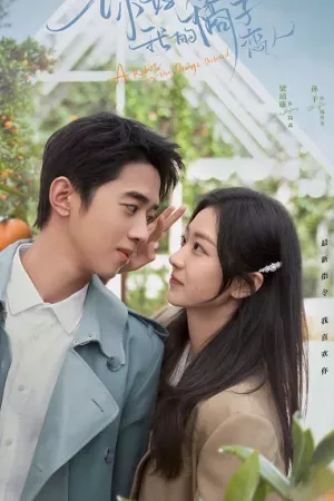 Xin Chào Người Tình Trái Quýt